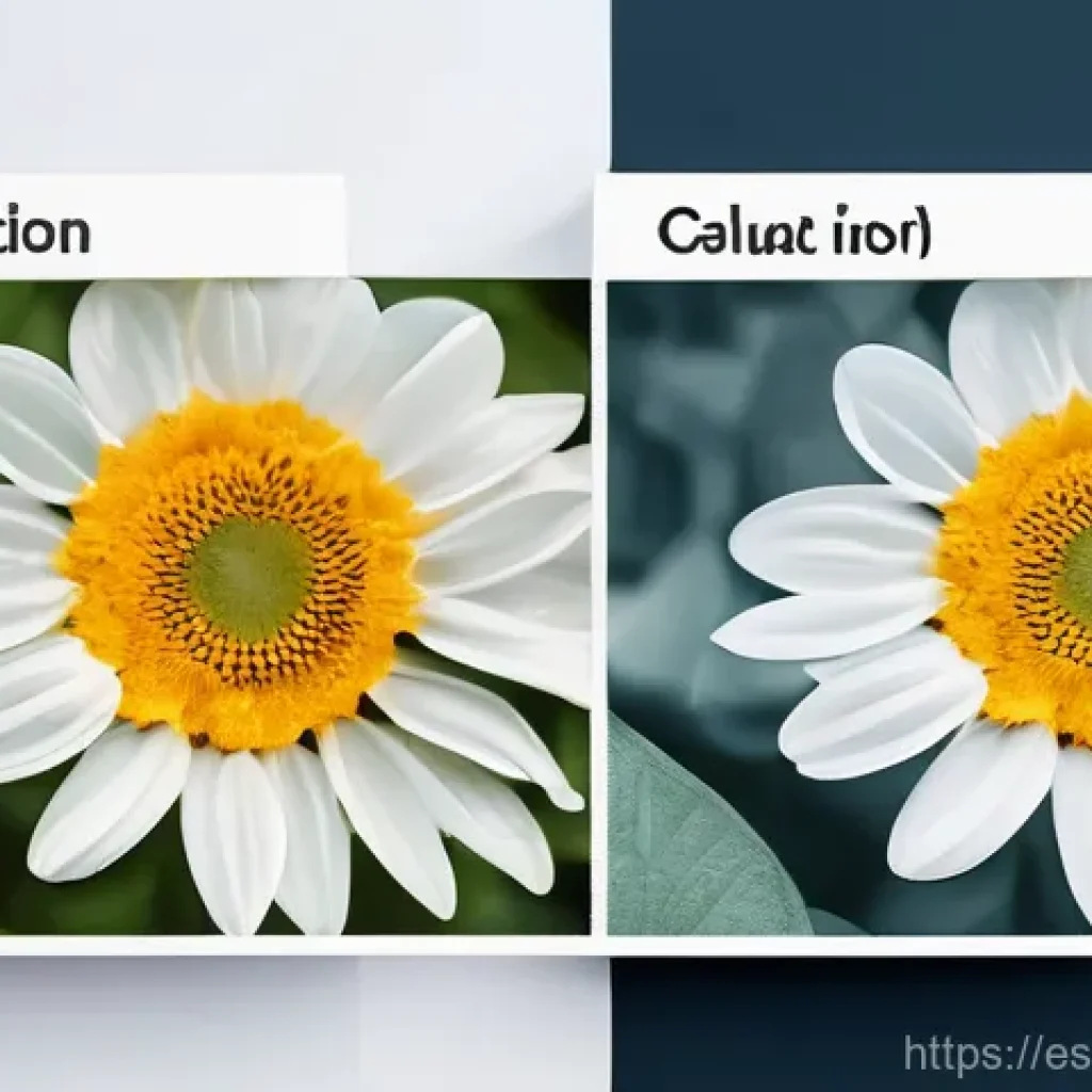 의식적 선택 훈련의 실천적 접근법 - Here are three detailed image generation prompts in English, adhering to all specified guidelines: